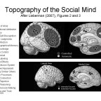 Can neuroscience tell us anything about cross-cultural differences?