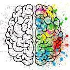 Three short divulgation essays – 2 The neuroscience of creativity