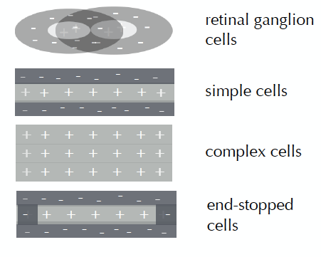 Captura de pantalla 2018-11-03 a la(s) 13.16.11