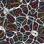 ¿Puede la neurociencia decirnos algo sobre las diferencias interculturales?